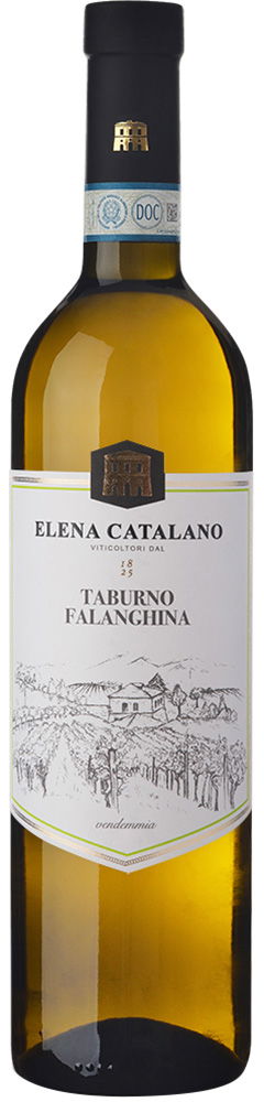2024 Falanghina Del Sannio Taburno DOC