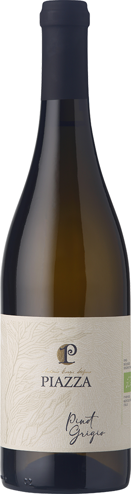 2024 Pinot Grigio Venezia DOC BIO