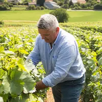 Champagne Comtesse Gérin