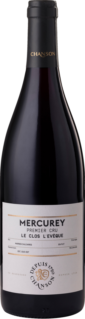 2022 Domaine Chanson Mercurey Le Clos lEvèque' reflection
