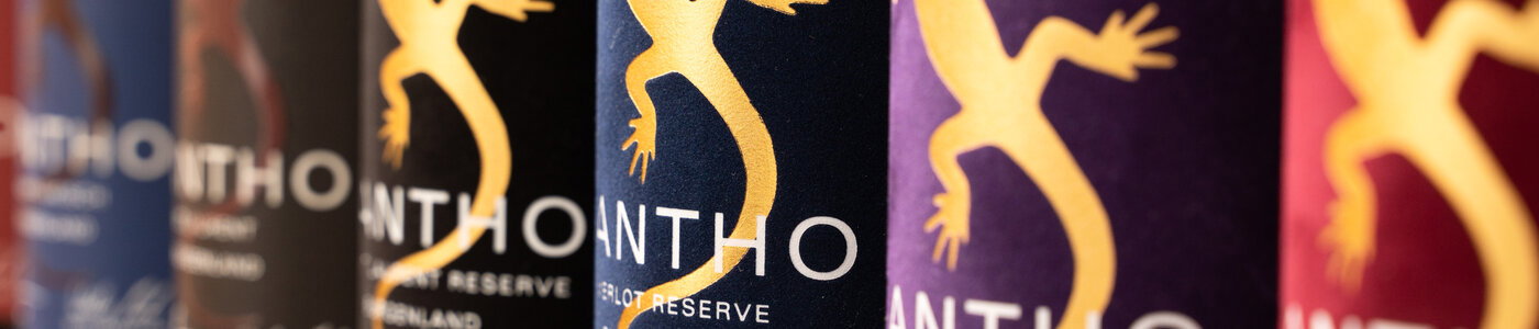 Zantho
