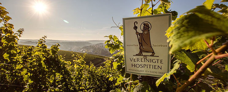 Vereinigte Hospitien