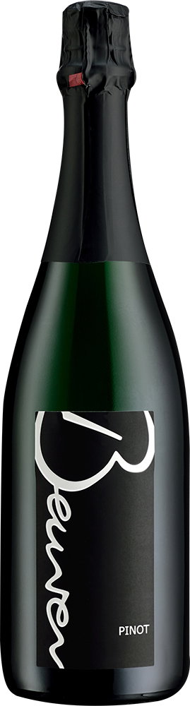 2022 Pinot Sekt b.A. BIO