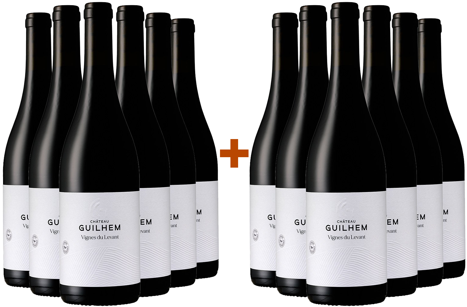 6+6 Paket Cuvée Vignes du Levant Rouge Malepère AOP BIO