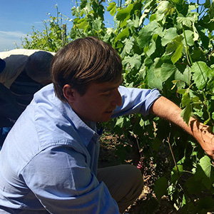 Corrado Capece Minutolo