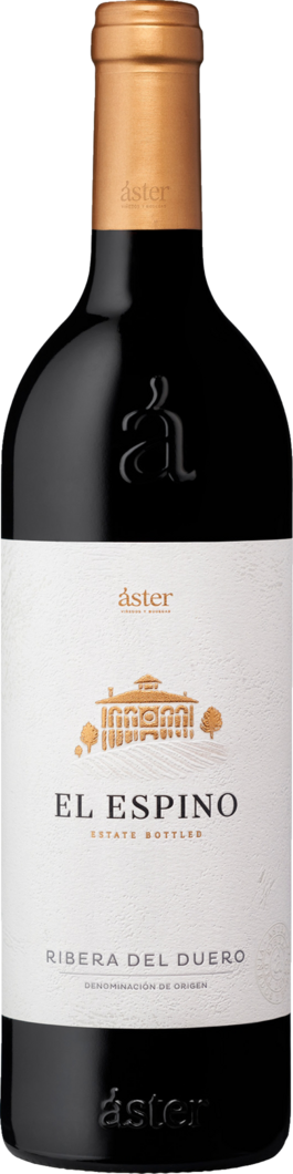 2020 Aster El Espino reflection