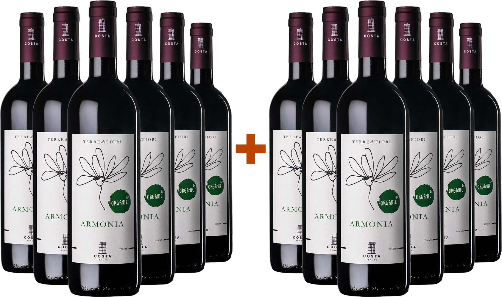 6+6 Paket Terredifiori Armonia Toscana IGP