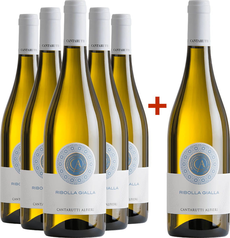 5+1 Paket Ribolla Gialla Friuli Colli Orientali DOC