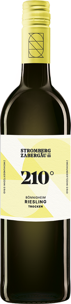 2024 210° Erkundung Bönnigheim Riesling