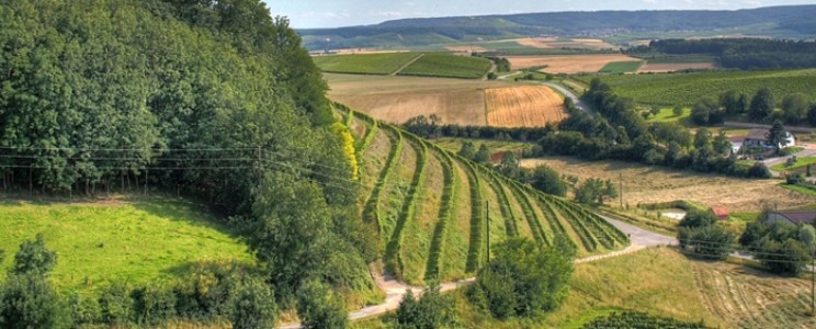 Graf Neipperg