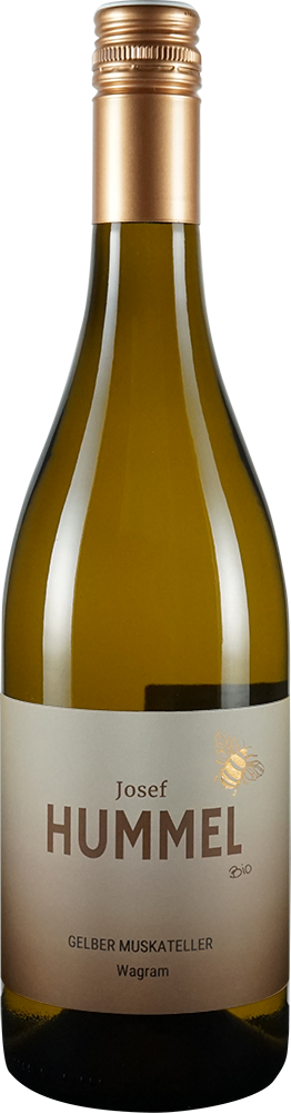 2025 Gelber Muskateller BIO