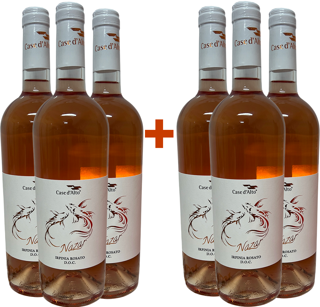 3+3 Paket Nazar Irpinia DOC