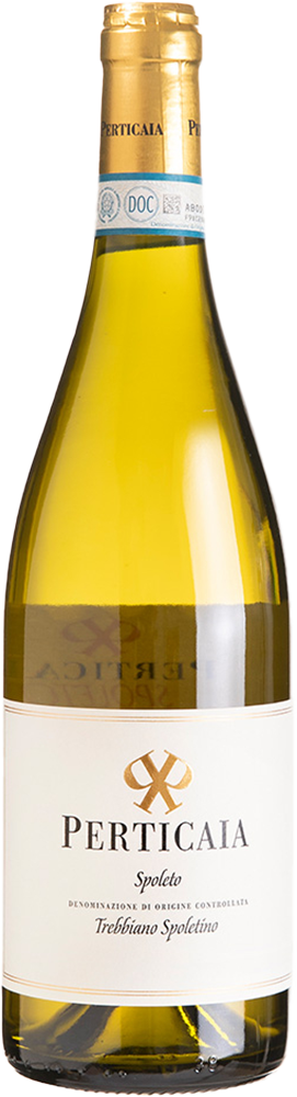 2024 Trebbiano Spoleto DOC