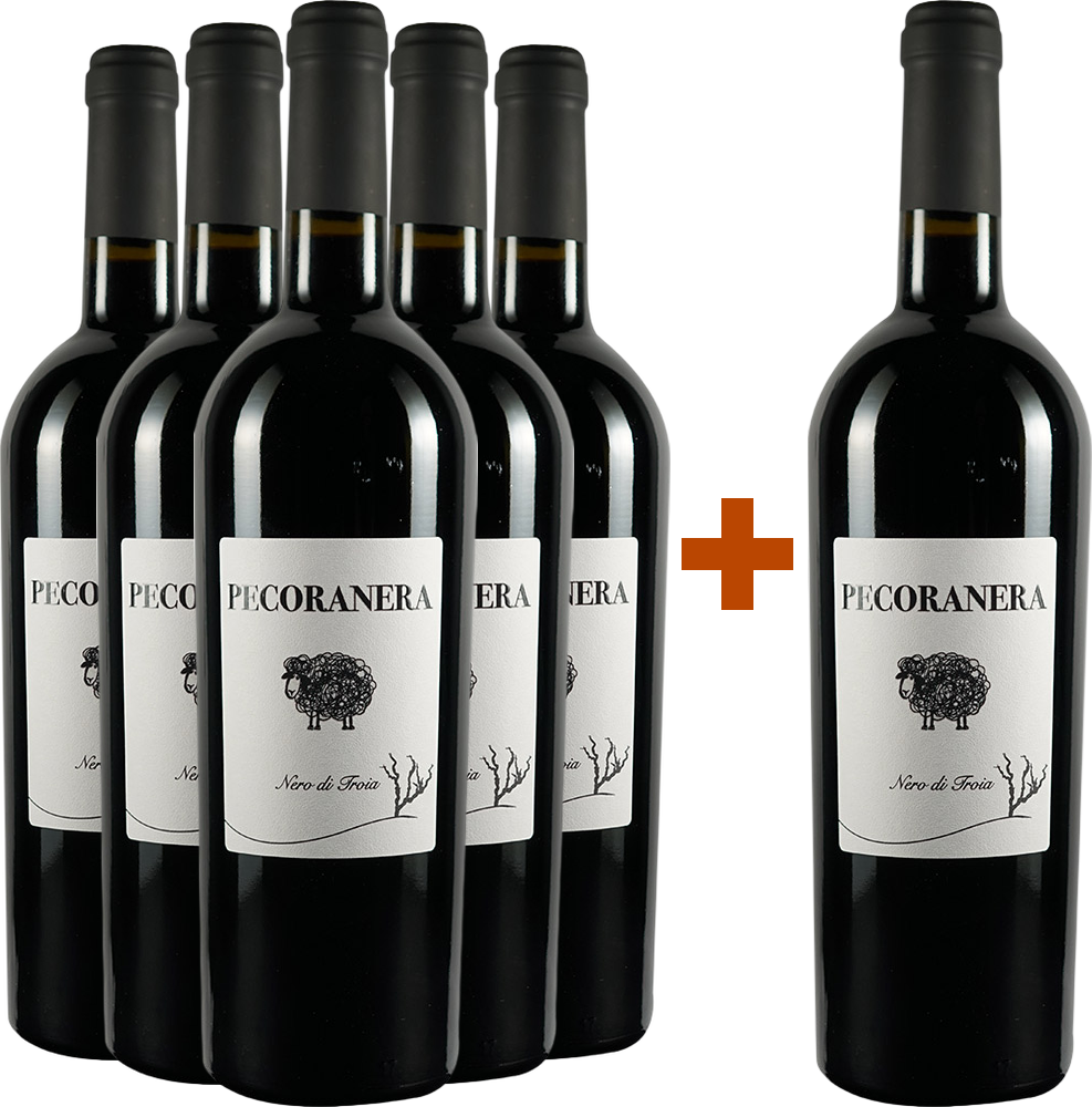 5+1 Paket Pecoranera Puglia IGP