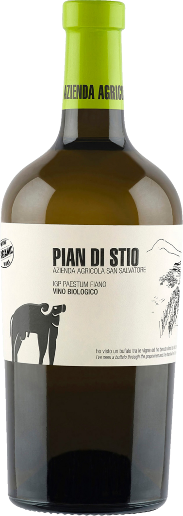 2022 San Salvatore Pian di Stio Fiano BIO reflection