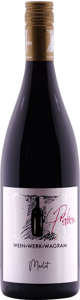 2022 Merlot reflection