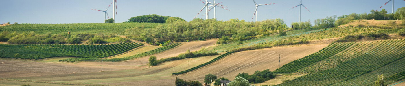 Martinshof