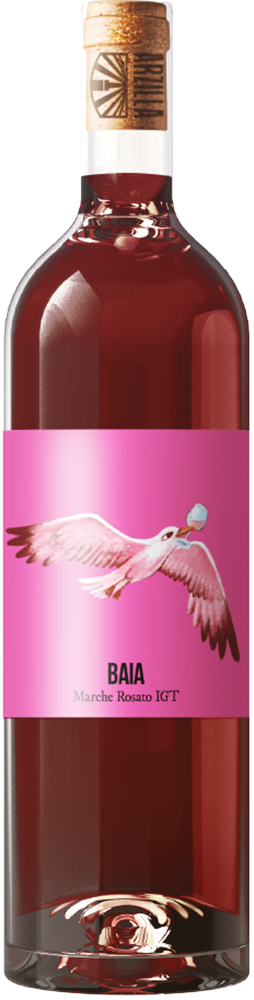 2023 Baia Marche IGP