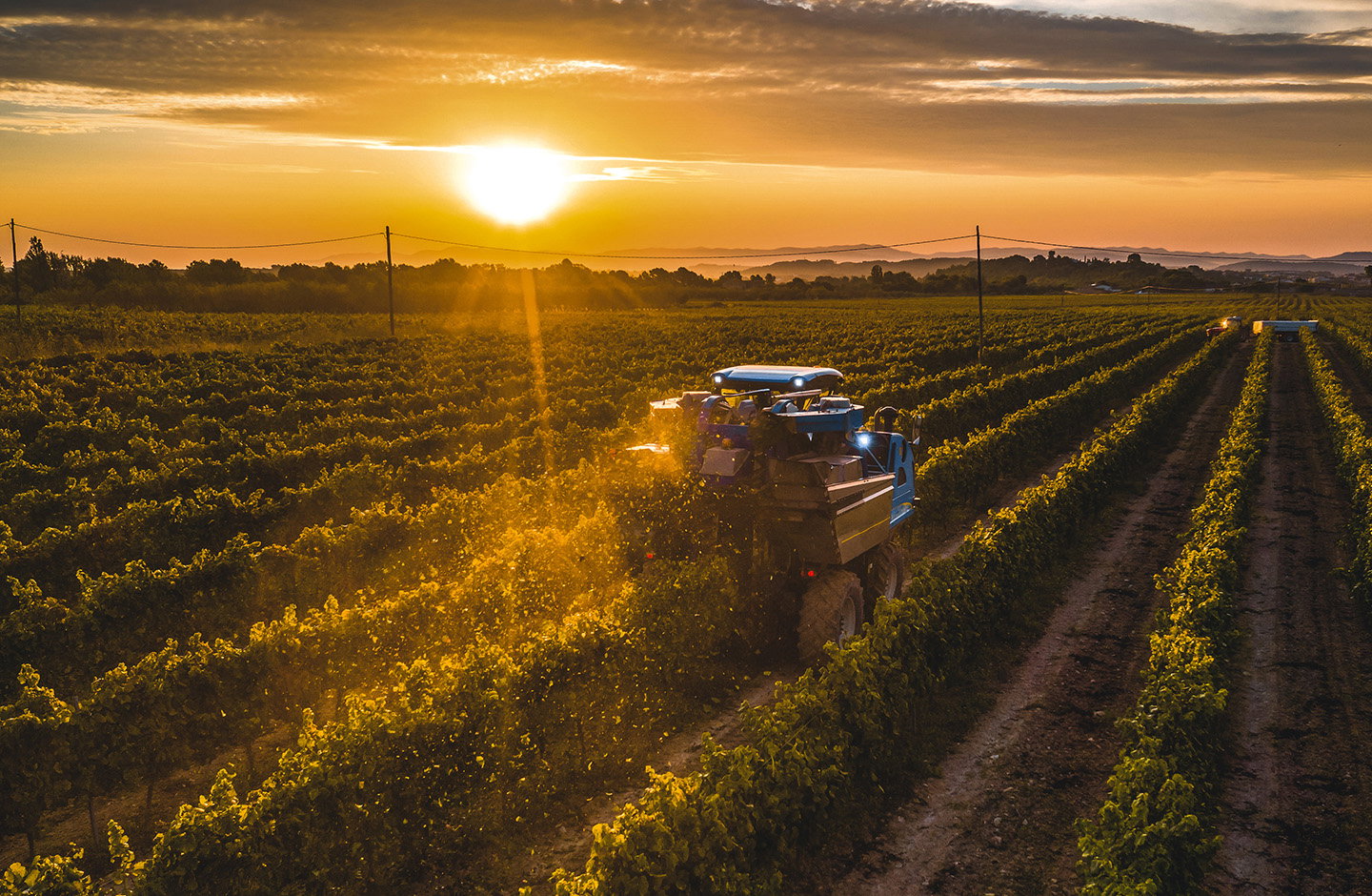 Exklusive Auswahl von Winzerin Habersack im Paket