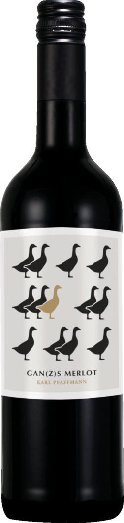 2023 Karl Pfaffmann Gan(z)s Merlot reflection