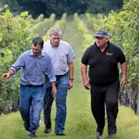La Cave des Vignerons de Tursan