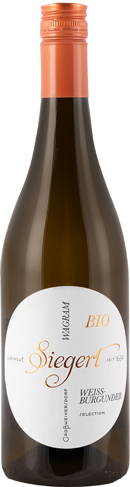2024 Weissburgunder Selection BIO