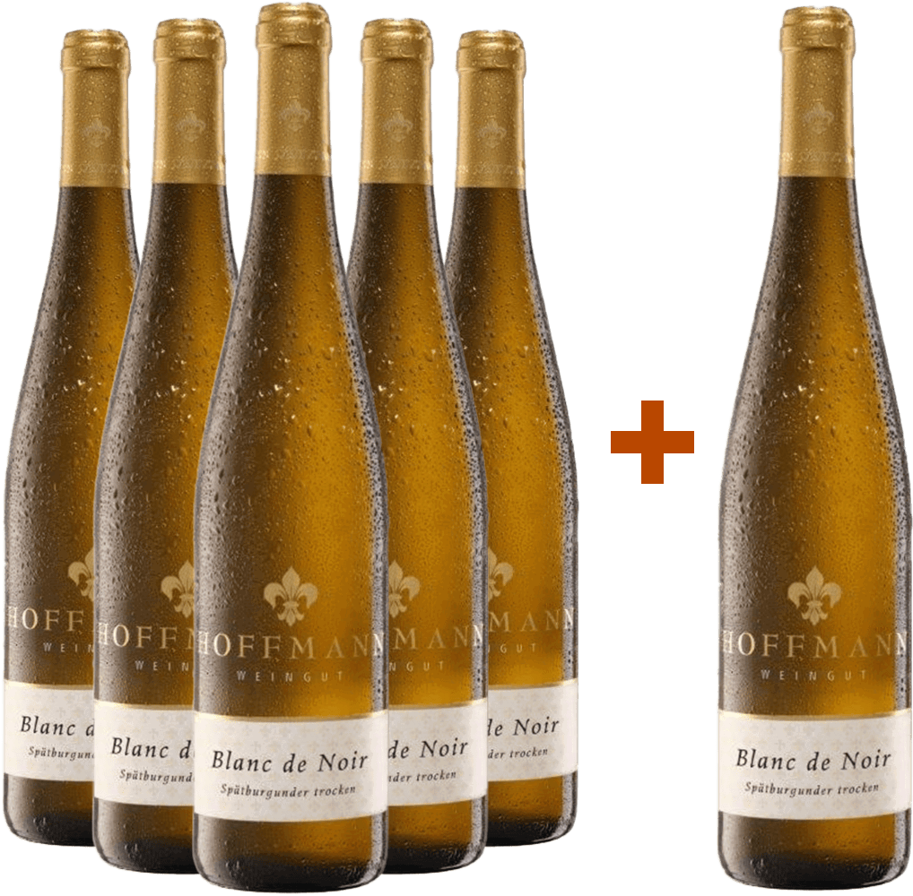 5+1 Paket Blanc de Noir trocken