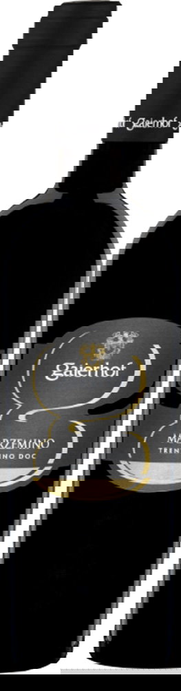 2023 Marzemino Trentino DOC