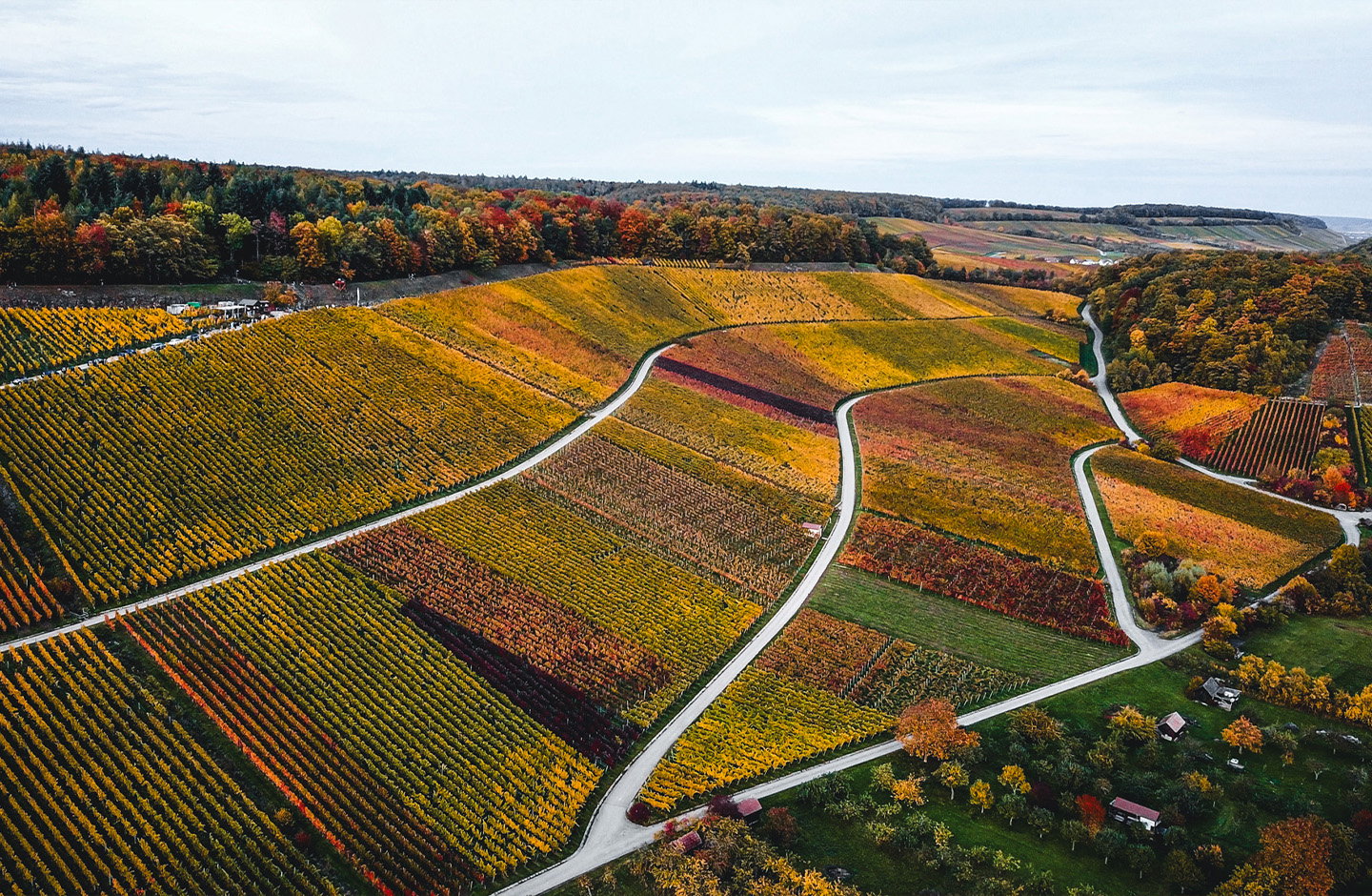 Weingärtner Stromberg-Zabergäu