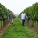 Weingut Helmut Maglock (AT)