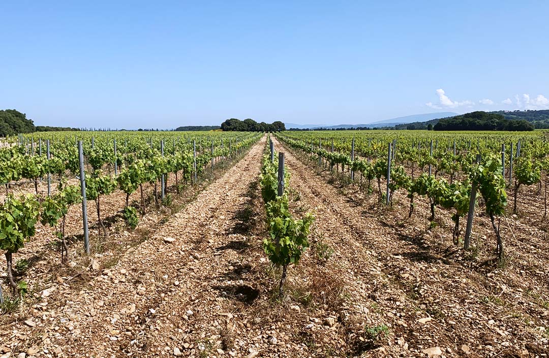 Domaine Les Chemins de Sève