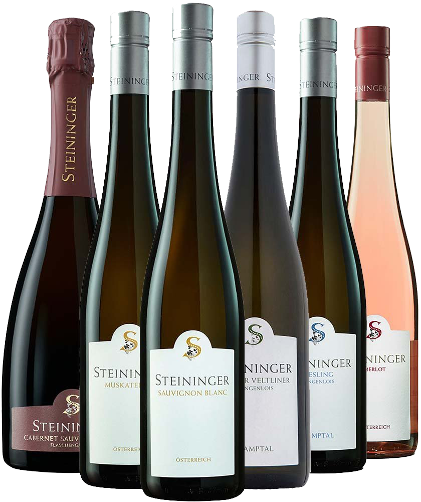 Steininger Kennenlern-Paket