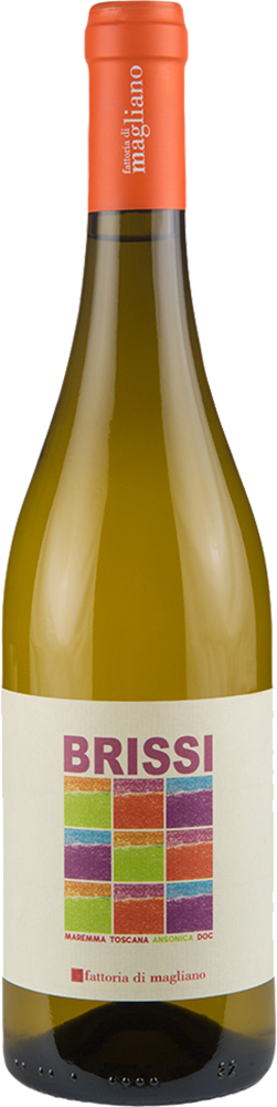 2023 Brissi Maremma Toscana DOC BIO