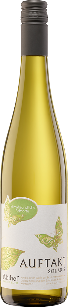 2024 Auftakt Solaris