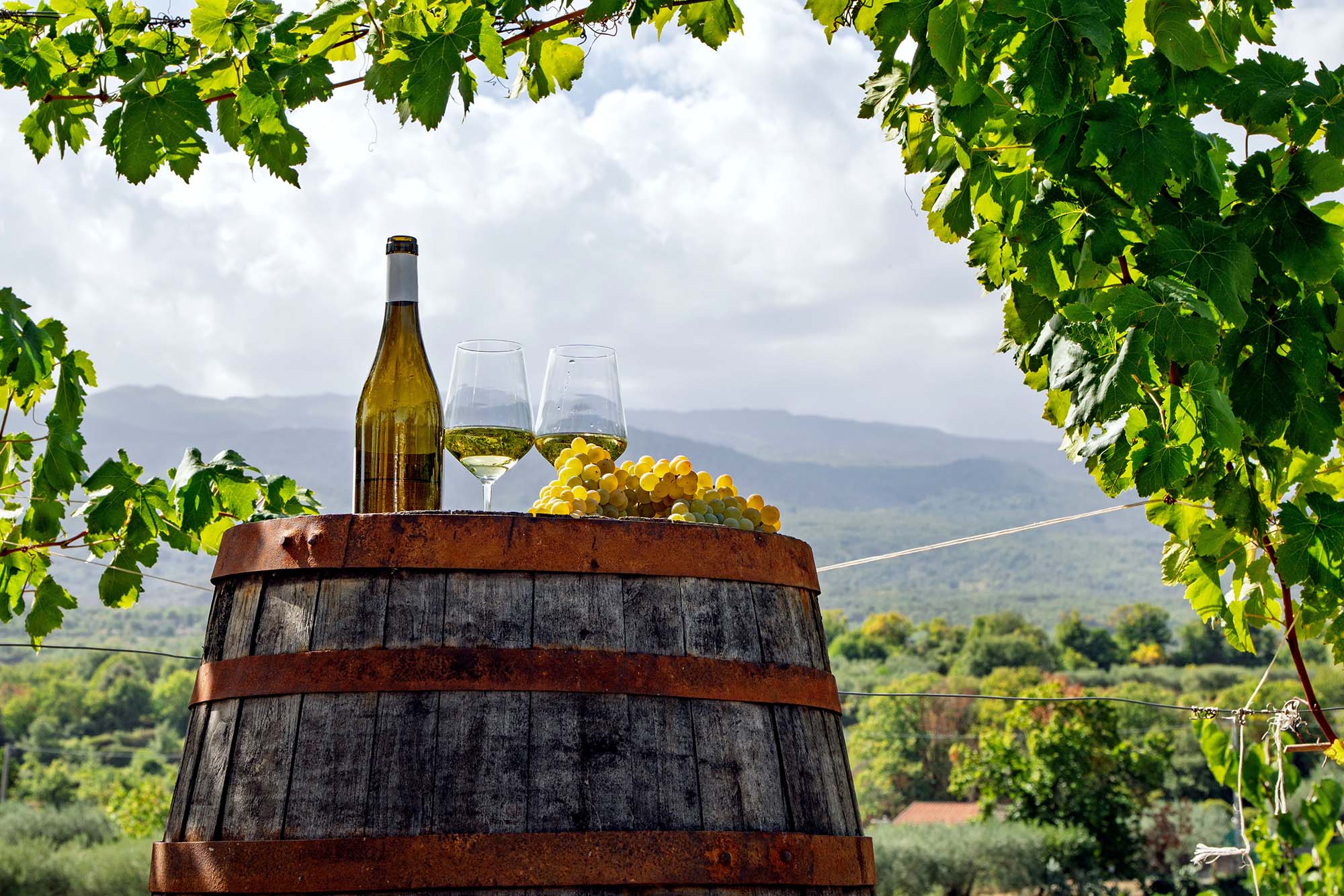 Weißwein, Trauben und Weinglas auf einem Holzfass im Weinberg mit Bergpanorama.