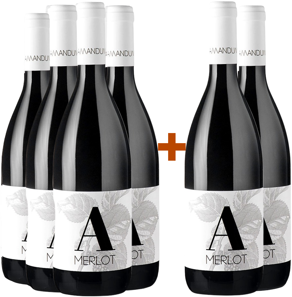 4+2 Paket Merlot Friuli Isonzo DOC