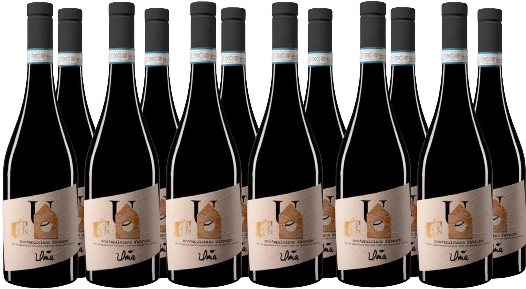Rotweinpaket Montepulciano DOC 2021 BIO