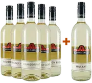 Starkes Preis-Leistungs-Verhältnis im Paket