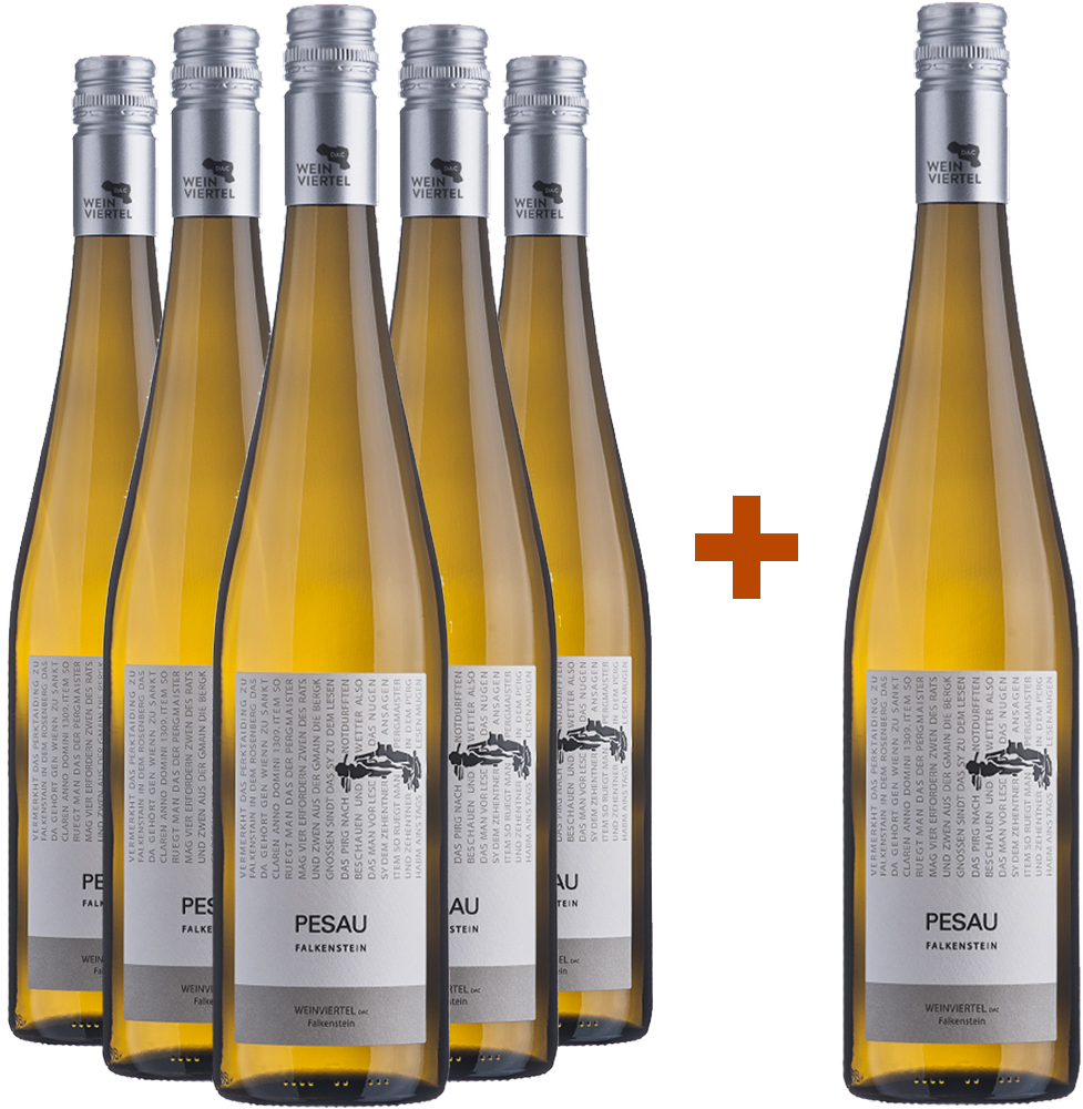 5+1 Paket Weinviertel DAC Grüner Veltliner Falkenstein BIO