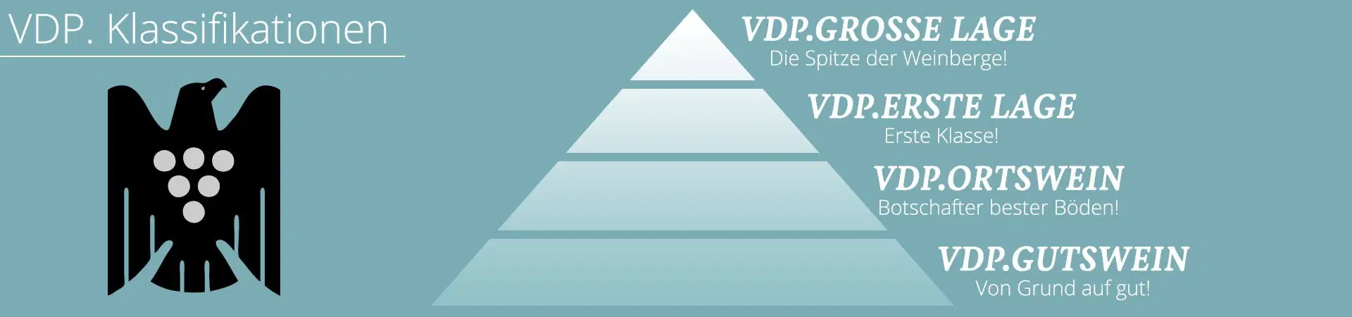 VDP Klassifikations Pyramide