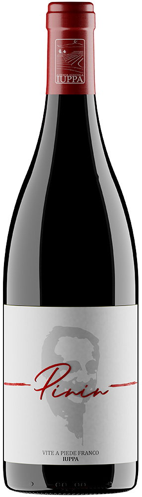 2021 Pinin Terre Siciliane Vite a piede franco IGP