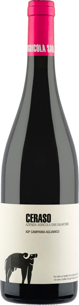 2023 San Salvatore Ceraso Aglianico reflection
