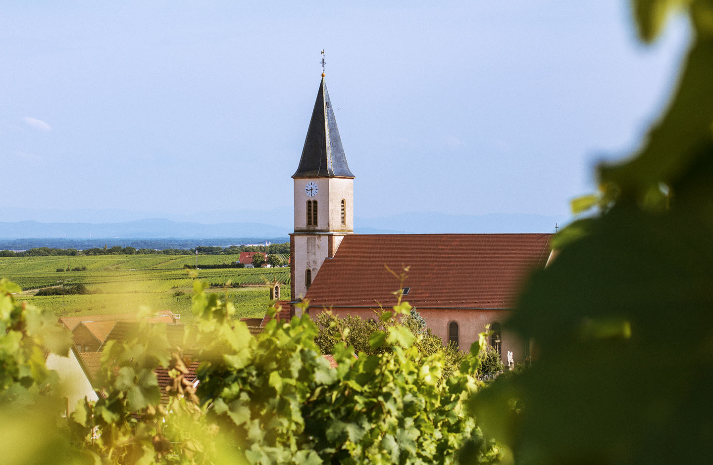 Domaine Sohler Les Vigneronnes