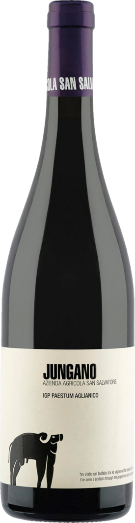 2021 Jungano Aglianico reflection