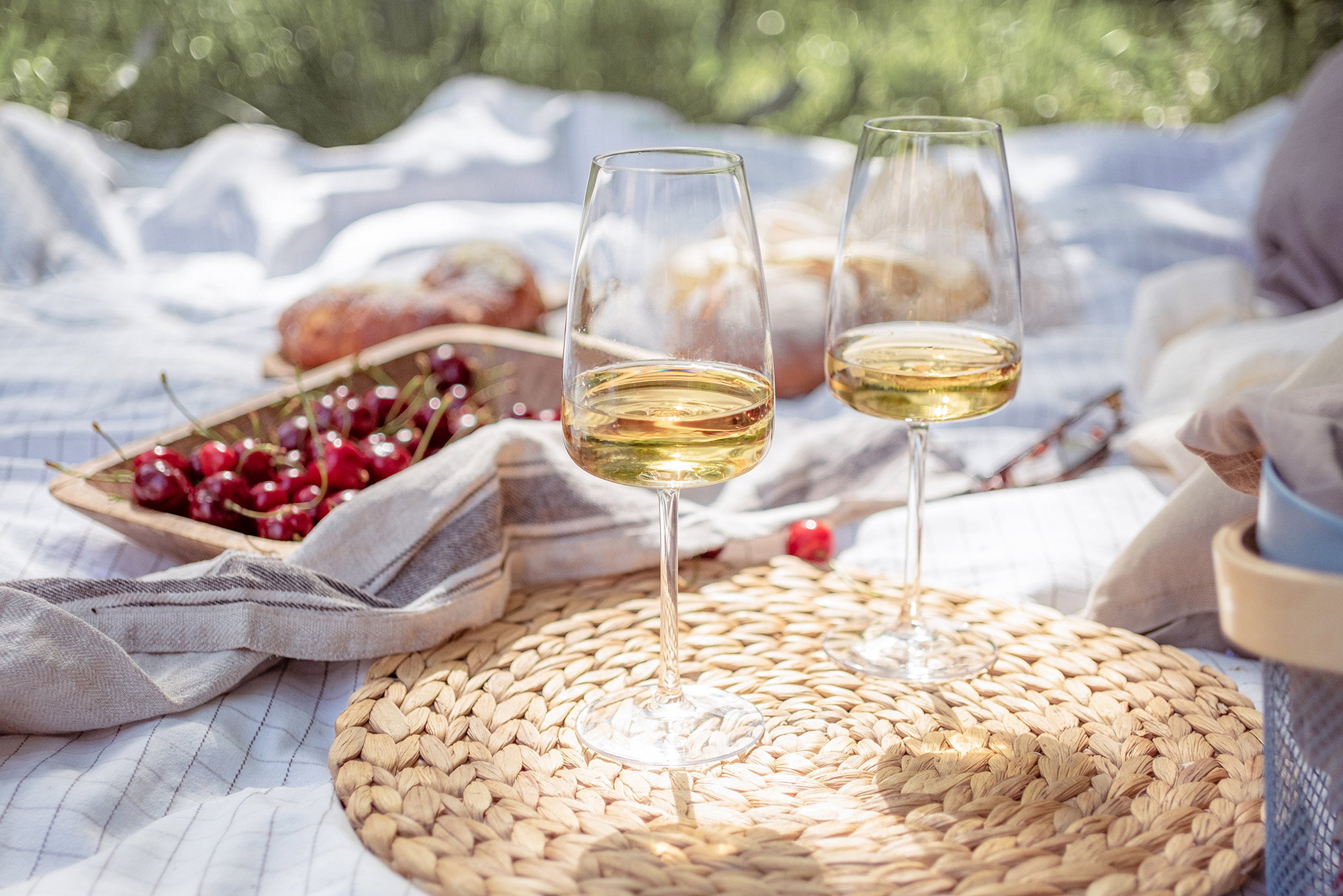 Zwei Gläser Weißwein bei einem sommerlichen Picknick im Grünen mit frischen Kirschen.