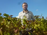 Champagne Boulachin Chaput