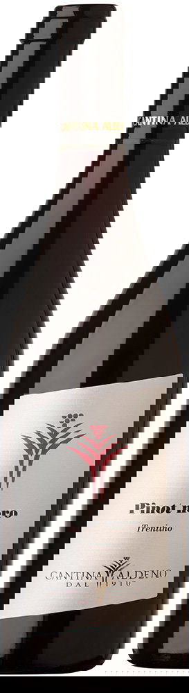 Pinot Nero Trentino DOC