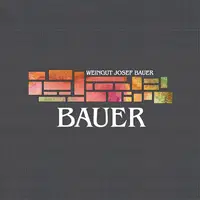 Josef Bauer