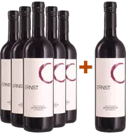 Rotweinklassiker aus Österreich entdecken