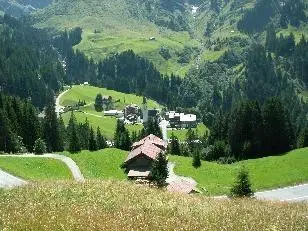 Almwiese in den Bergen